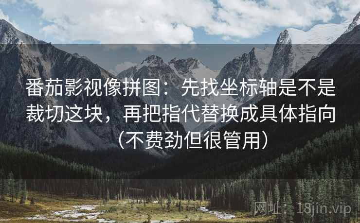 番茄影视像拼图：先找坐标轴是不是裁切这块，再把指代替换成具体指向（不费劲但很管用）
