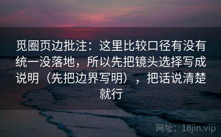 觅圈页边批注：这里比较口径有没有统一没落地，所以先把镜头选择写成说明（先把边界写明），把话说清楚就行