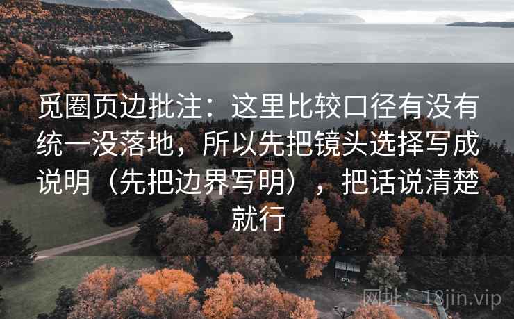 觅圈页边批注：这里比较口径有没有统一没落地，所以先把镜头选择写成说明（先把边界写明），把话说清楚就行